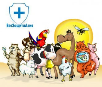 Компания «ВетЗащитаАзия» укрепляет лидирующие позиции на казахстанском рынке ветеринарной фармации с «1С:Предприятие 8»